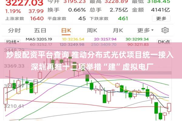 炒股配资平台查询 推动分布式光伏项目统一接入 深圳再推十二项举措“建”虚拟电厂