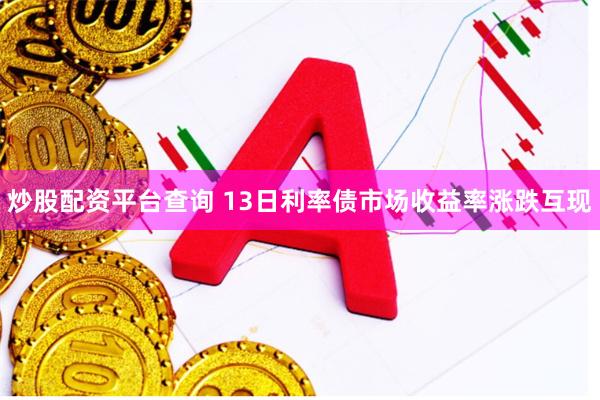 炒股配资平台查询 13日利率债市场收益率涨跌互现