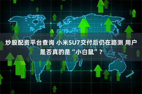 炒股配资平台查询 小米SU7交付后仍在路测 用户是否真的是“