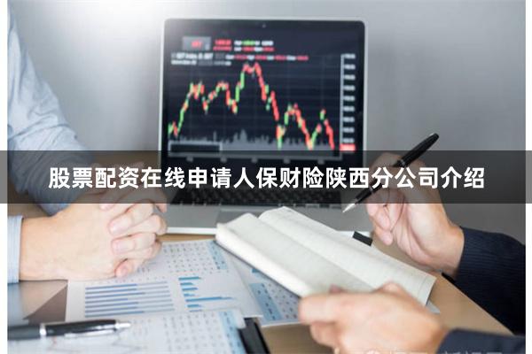 股票配资在线申请人保财险陕西分公司介绍